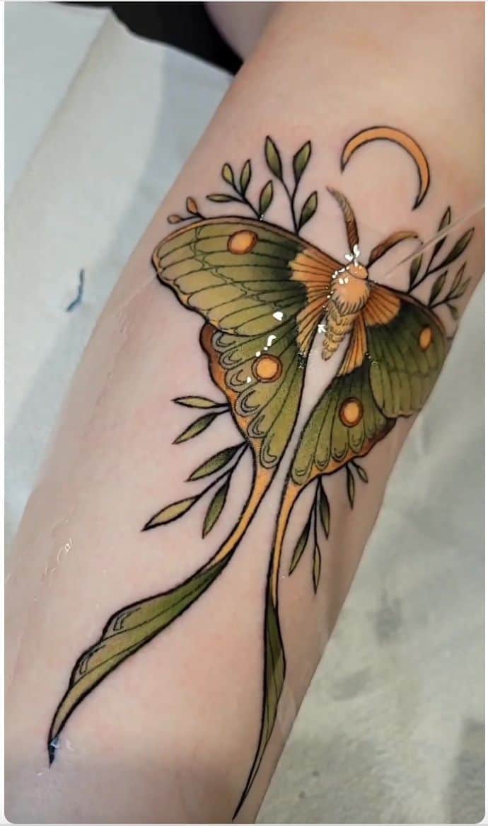 A tiny realistic luna moth tattoo for a lovely young lady Tiny tattoos  take time too What do you think she should name him  Instagram