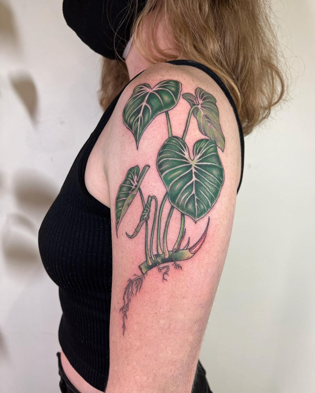 Jeffy Tattoos - Monstera plant tattoo for @bbys.breath last year #tattoo # tattoos #planttattoo #monstera #botanicaltattoo #botanicalillustration  #gainesvilleartist #floridatattooartist #reepertech #dotwork #blackwork  #gainesvilletattoo | Facebook