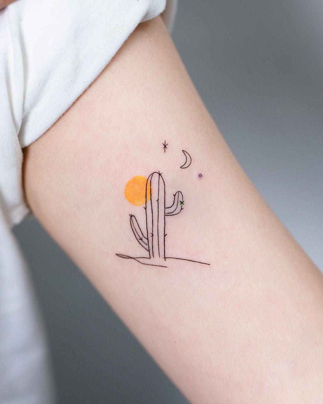Potted Cactus Temporary Tattoos, Succulent House Plants, Black Line  Drawing, Nature Tattoo, Stocking Stuffer - Etsy