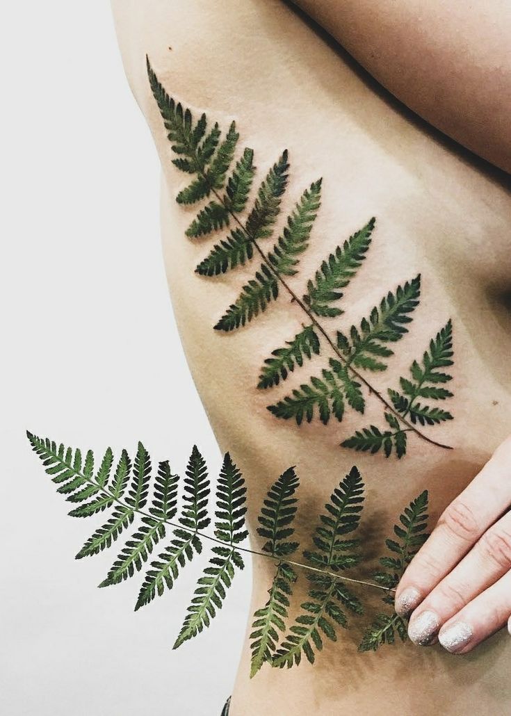 Plants minimalist tattoos Royalty Free Vector Image