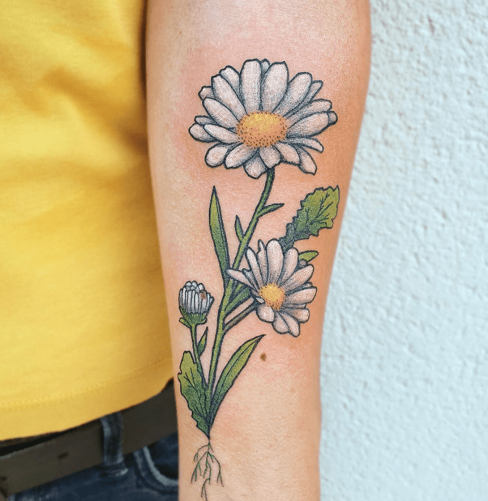 Watercolor Daisy Temporary Tattoo - Set of 3 – Tatteco