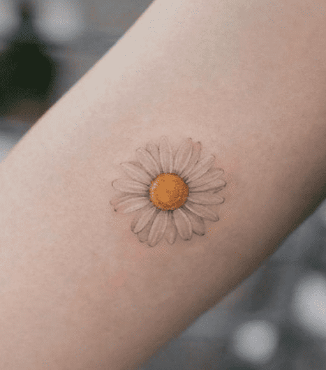 Micro-realist daisy flower tattoo on the inner forearm