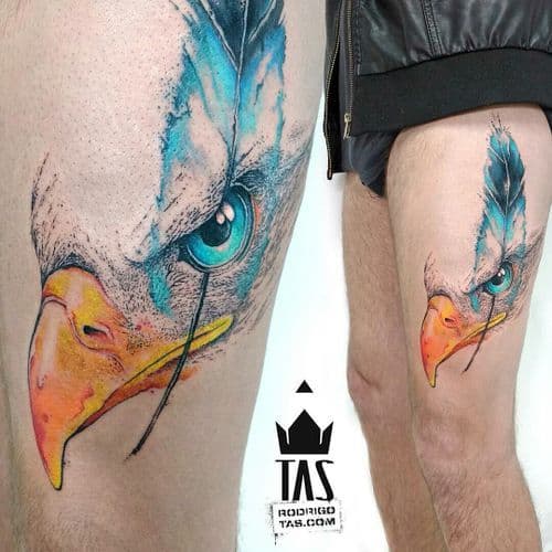 Eagle eyes tattoo stock vector. Illustration of head - 75036980
