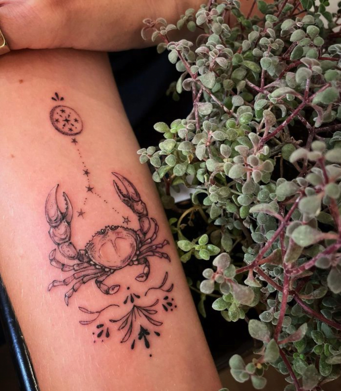 55 Cancer Tattoo Designs for every Cancerian in the World