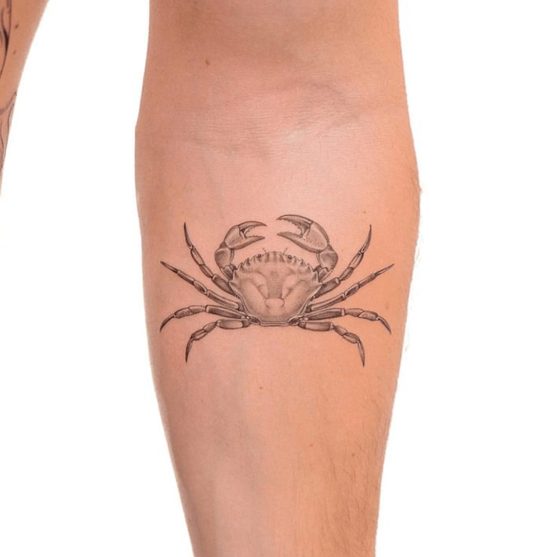 Crab tattoo design Royalty Free Vector Image - VectorStock