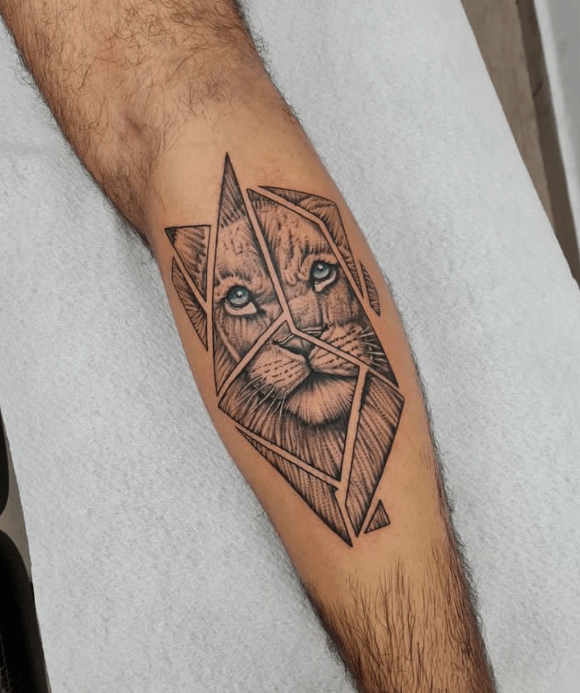 Geometric Tattoos Lion Zodiac Sign Vector Images (75)