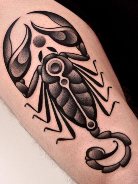 Custome Skull Scorpion Rose Tattoo by Marvin Silva: TattooNOW
