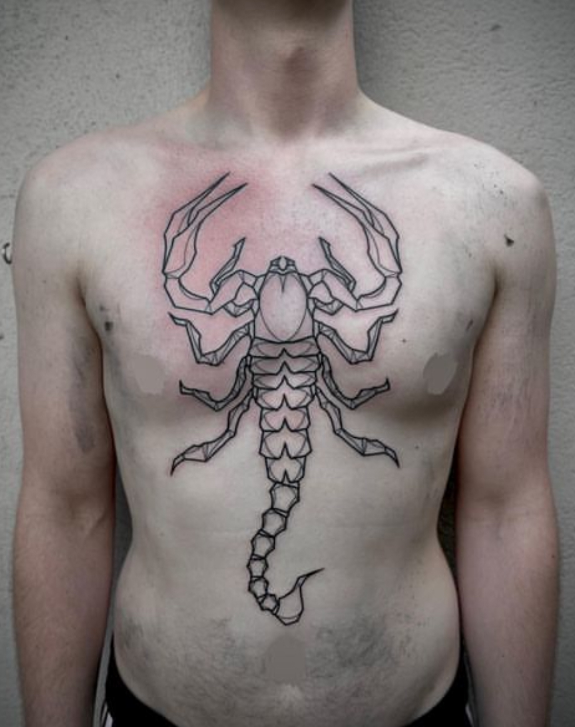 Scorpion Tattoo - Vector & Photo (Free Trial) | Bigstock