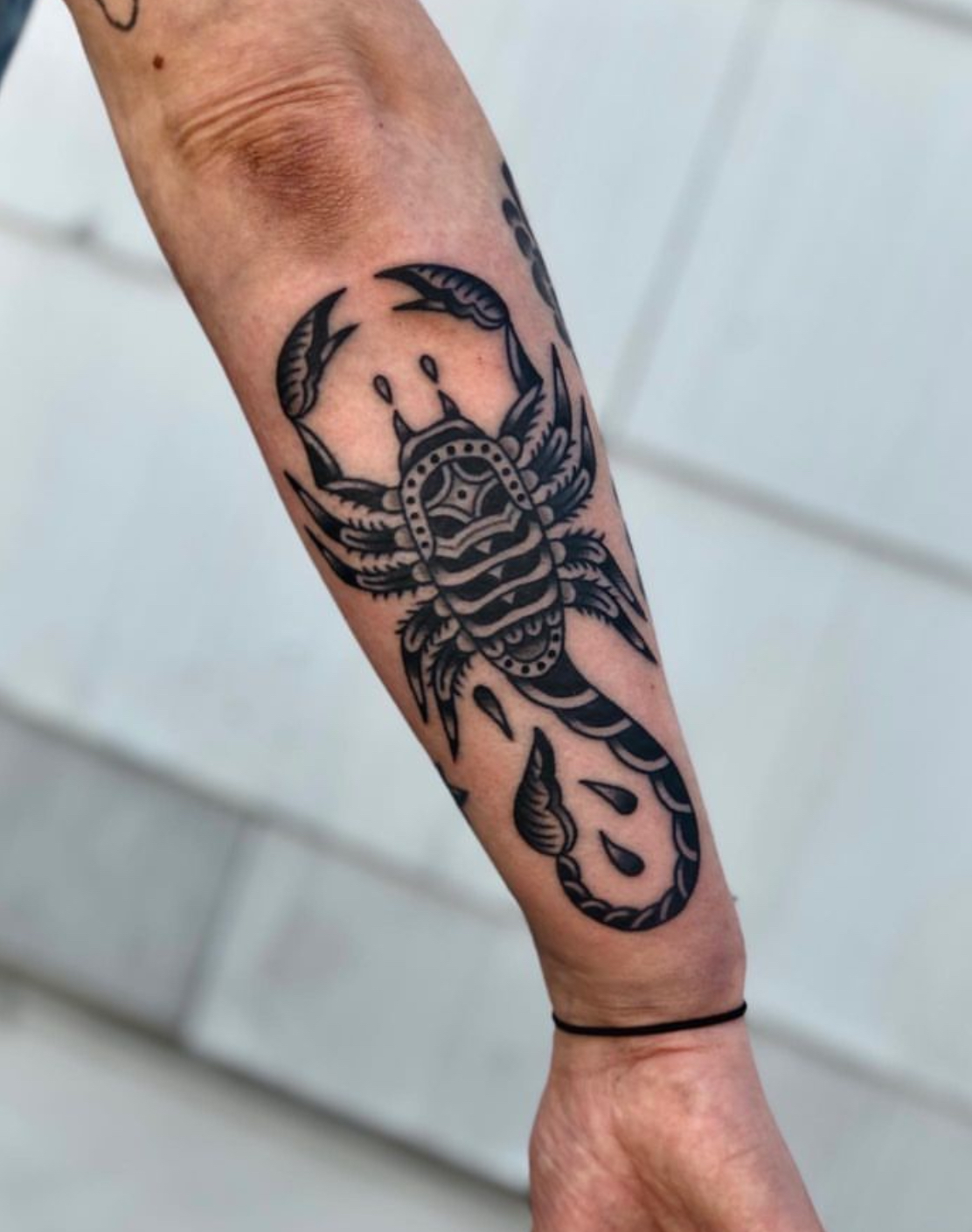 Scorpion Flower Temporary Tattoos For Women Men Realistic Vampire Lion  Tiger Skull Waterproof Fake Tattoo Sticker Leg Arm Tatoos - AliExpress