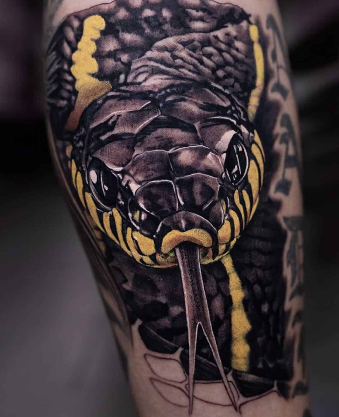 Snake arm tattoo made by London Tattoo Artist Gabriele Cardosi at Red Point  tattoo U.K : r/tattoos
