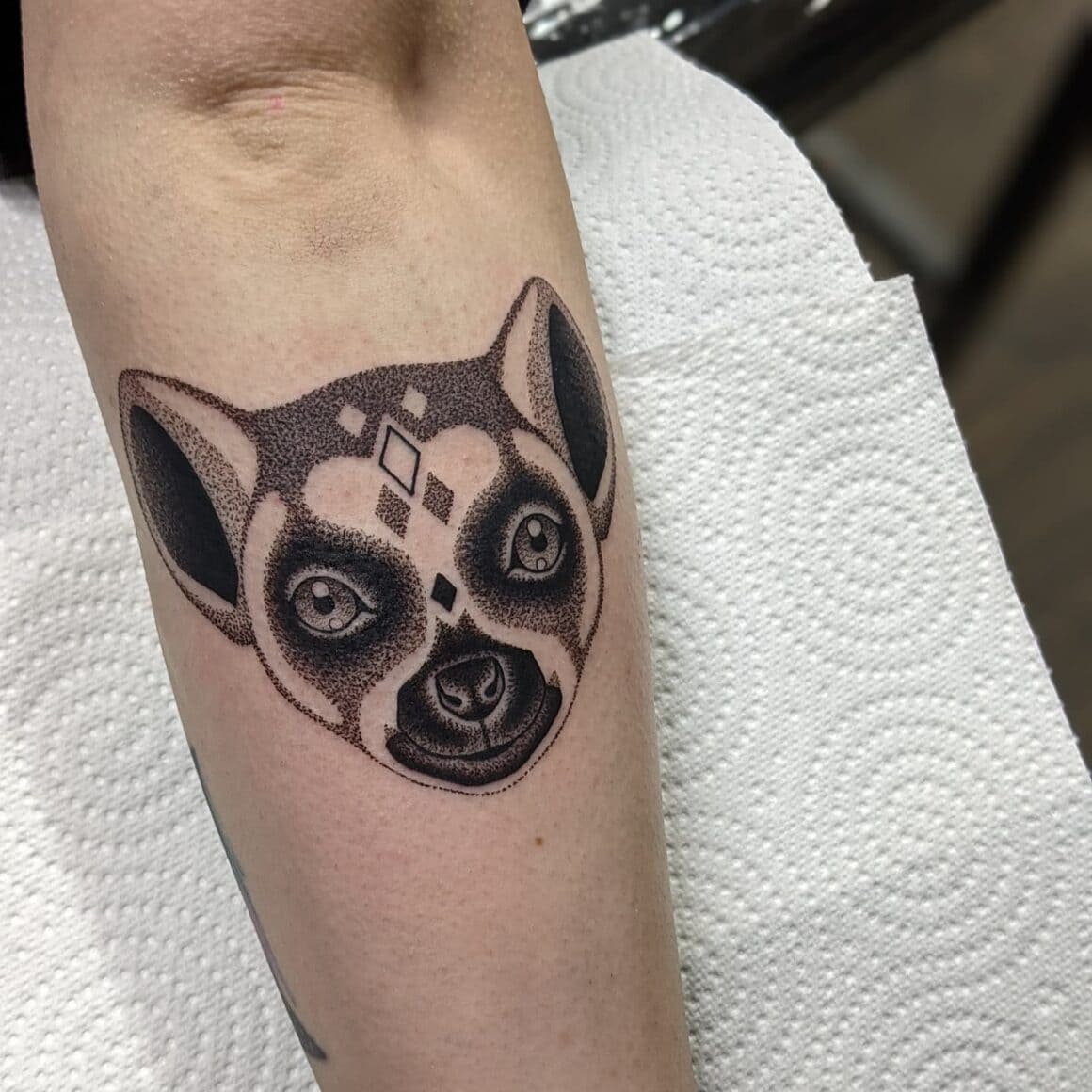 Lemur tattoo