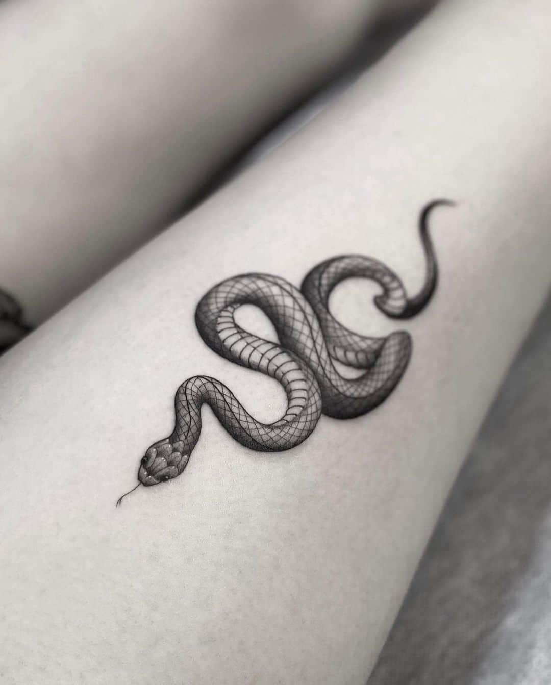 Venomous Snake Tattoo, Vectors | GraphicRiver