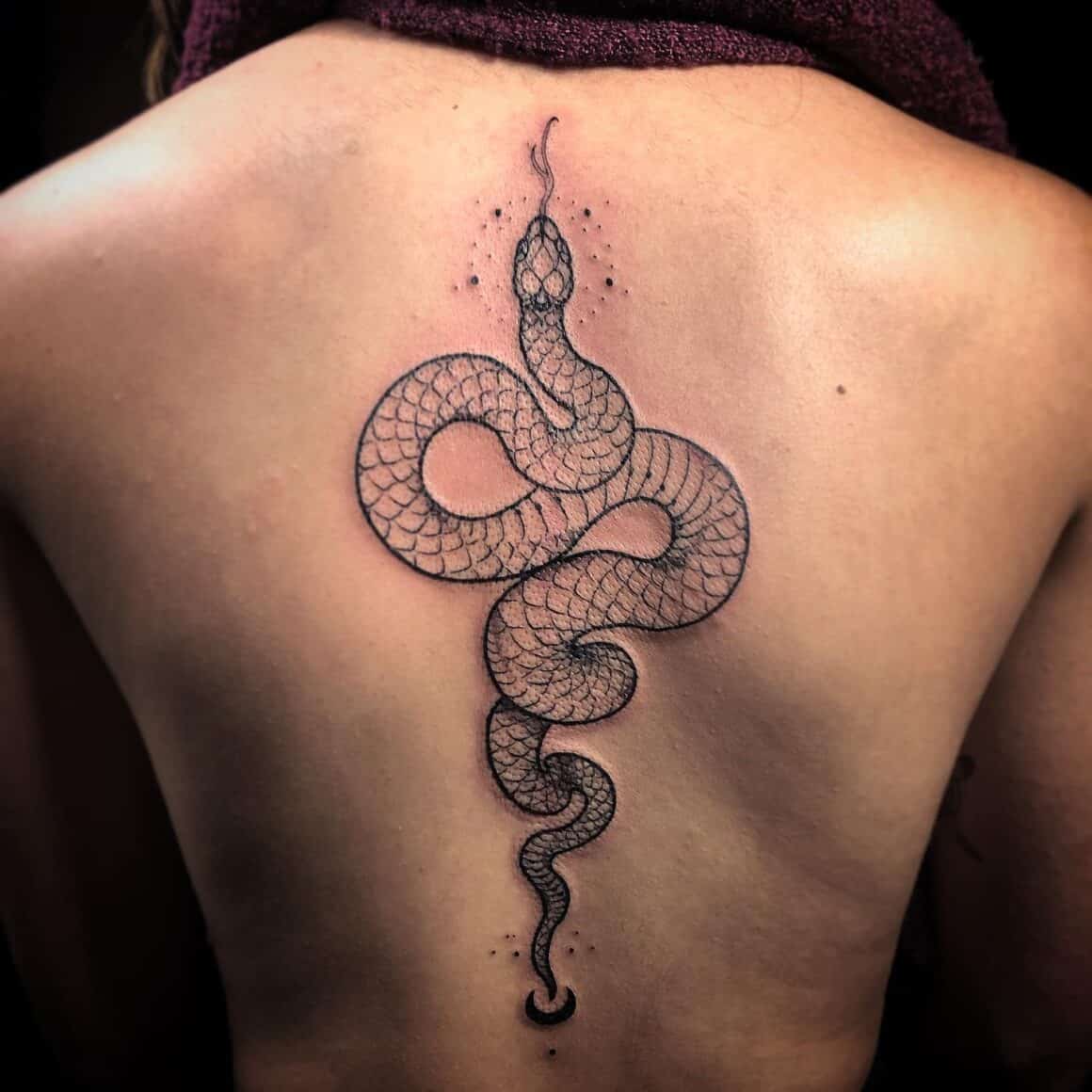 two snakes back tattoo｜TikTok Search