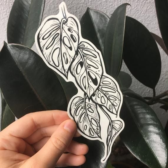 ✨Monstera tattoo by @cheekylavender... - Third Season Tattoo | Facebook