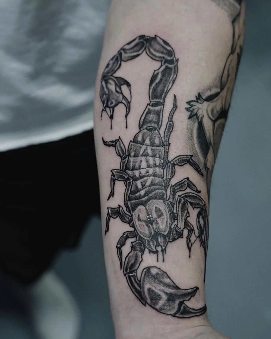 What Does a Scorpion Tattoo Mean? | Auntyflo.com