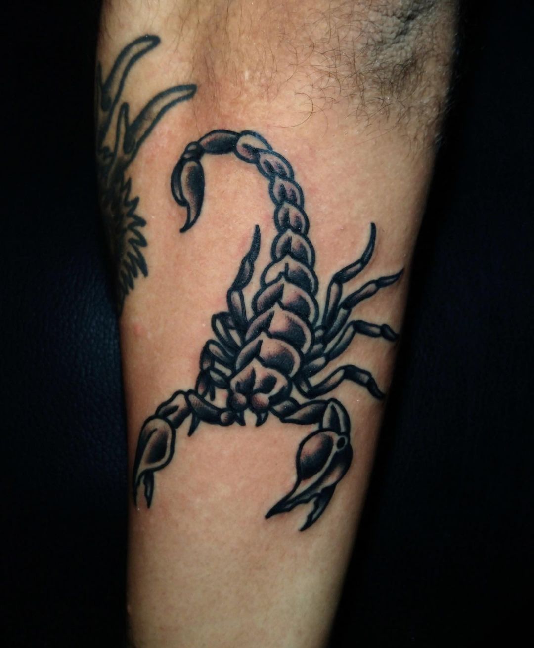 Scorpion Tattoos: The Meaning Behind This Popular Design